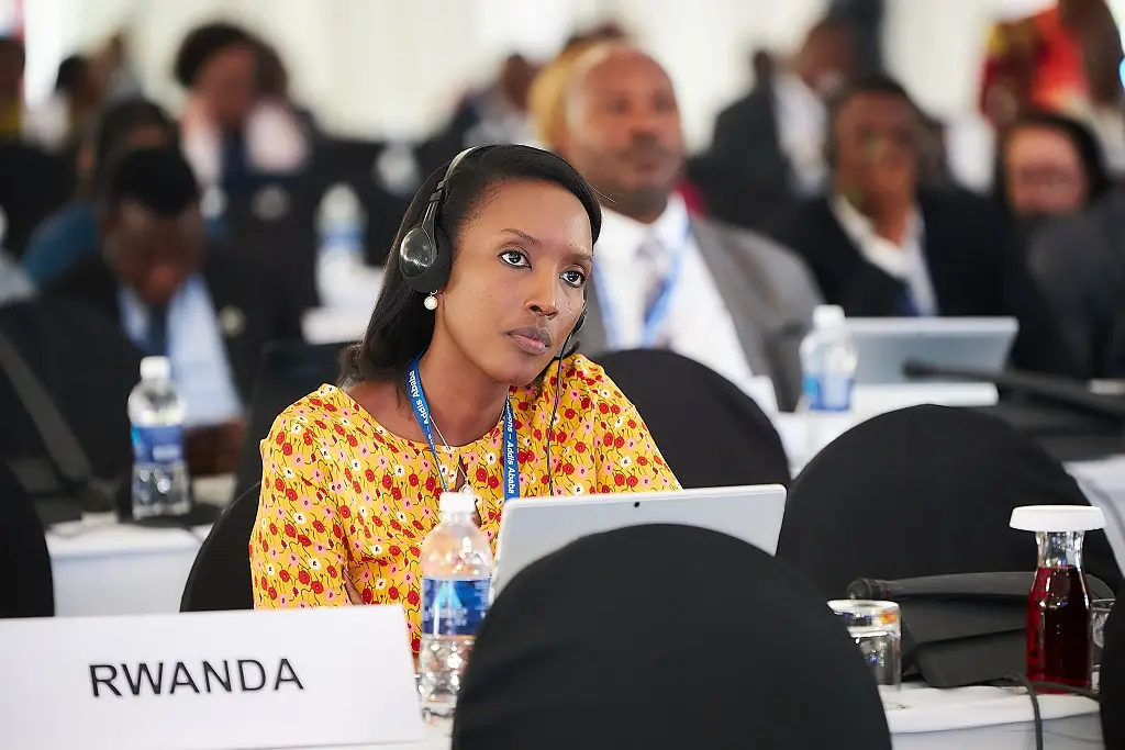 African Development Bank Annual Meetings Bid